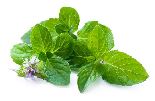 Mint leaves in zxcvbnmqwert spray
