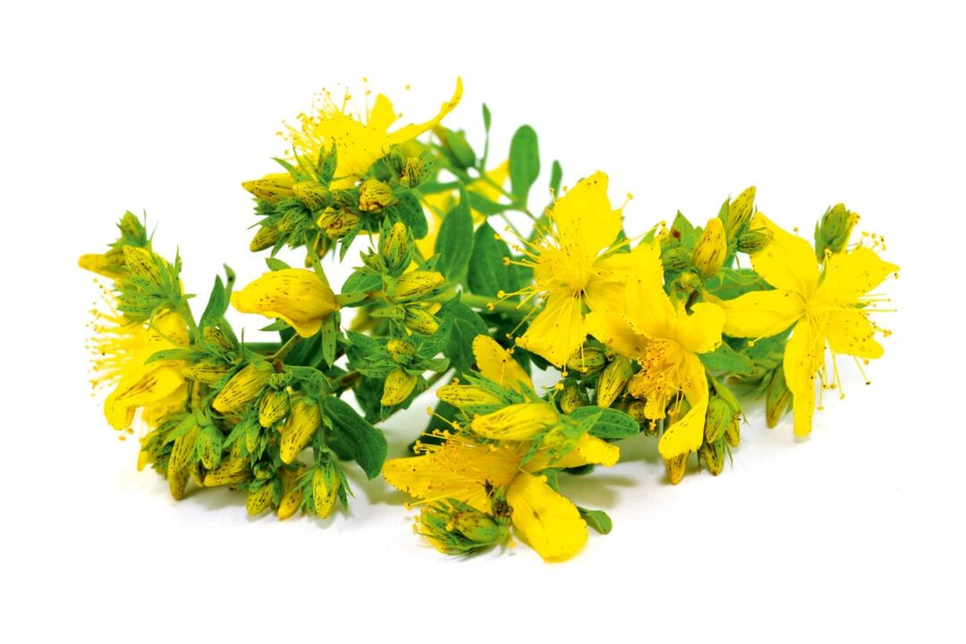 St. John's Wort in ZXCVBNMQWert spray